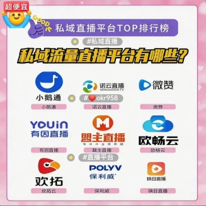 <strong>私域直播平台怎么选</strong>